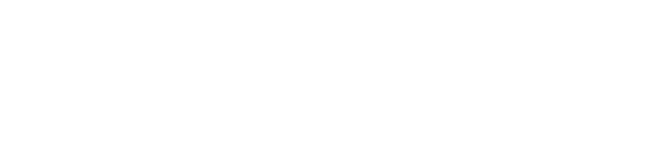 Sassy Soles